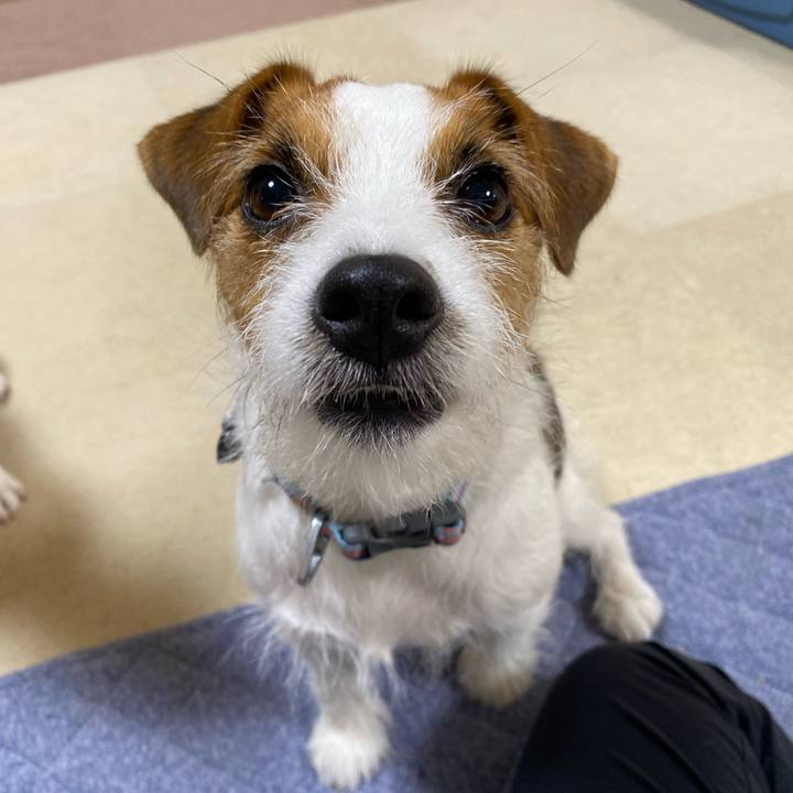 7f1fa257 ccf0 4d35 aeb3 a4bb50adcd8c 1759020684504