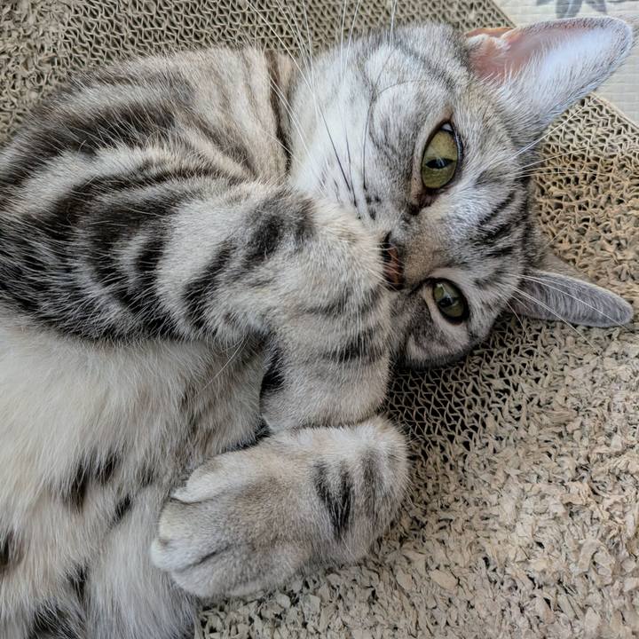 7f1faacd c796 46cc 8a06 83fe6f56bfd3 1750554445803