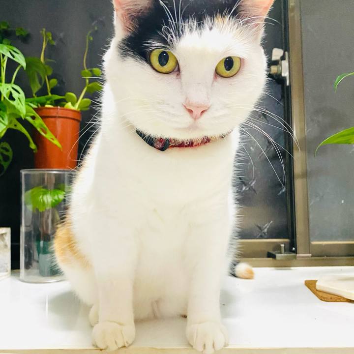 7f1fc16c b175 40d1 9ca8 16c1efd9ed81 1695048202092