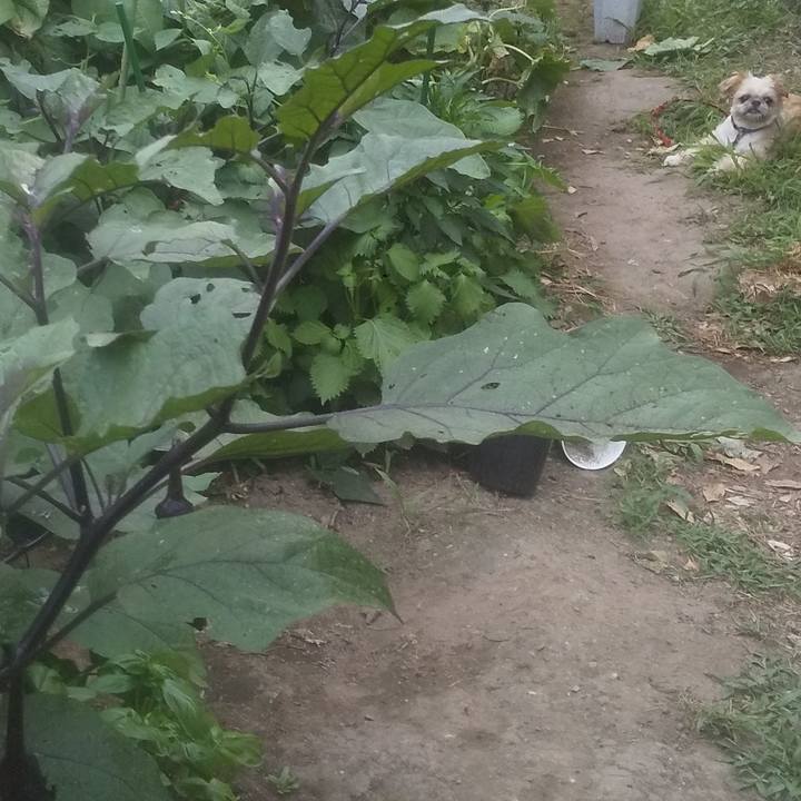 7f1fe742 d3f2 45e6 a2de 106b698cbee5 1751713911910