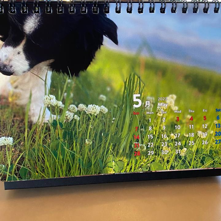 7f2017b4 428a 4337 9f45 b9f708108e93 1682894916031