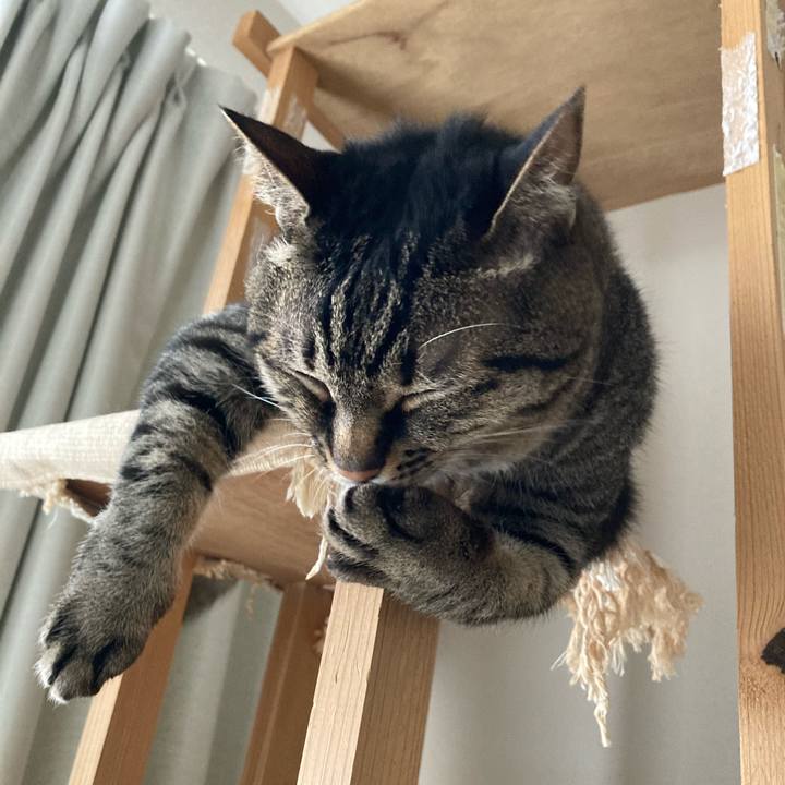 7f207cc7 bdd9 40b9 9f63 7c4abb4763b0 1622532767147