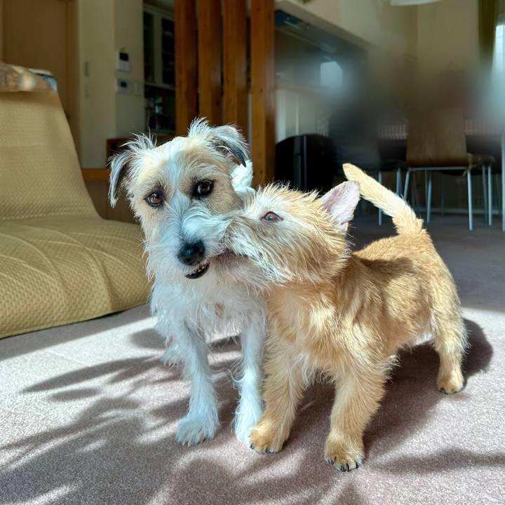 7f208bb7 9d80 4bb6 9bf8 a35333daf824 1705975840586