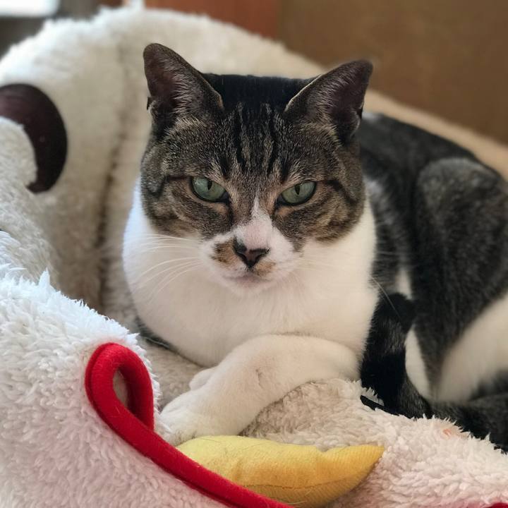 7f20aaeb 74dd 4e46 9f3c 77b587be59ee 1522201141371