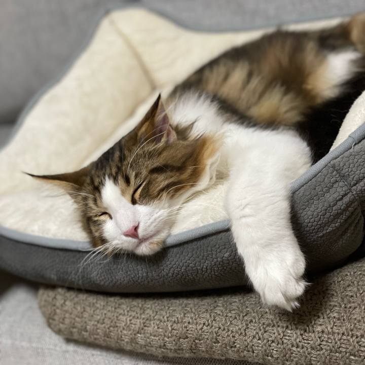 7f20c7cc 3305 4e11 98da bf5d574d0cf0 1639293352216