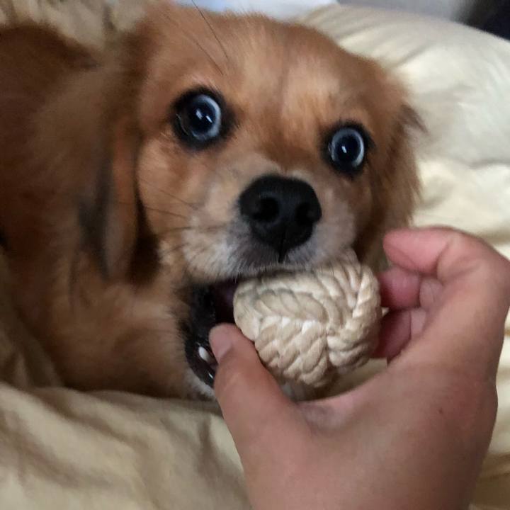 7f20d9ac dfd0 4ed8 8f5f 499cec6752a8 1509239755212