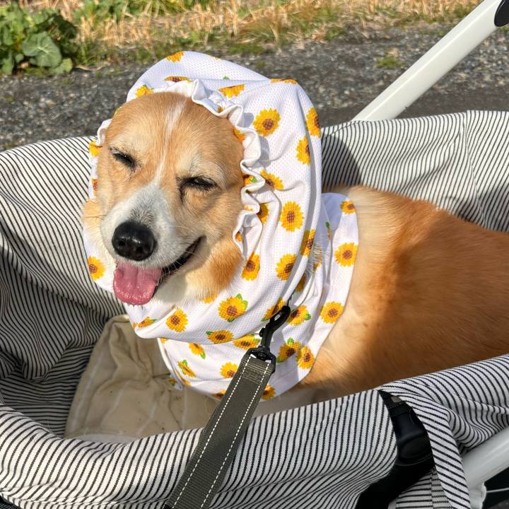 7f20fa95 2c63 4e77 9a76 ac39c8750d52 1772156960743