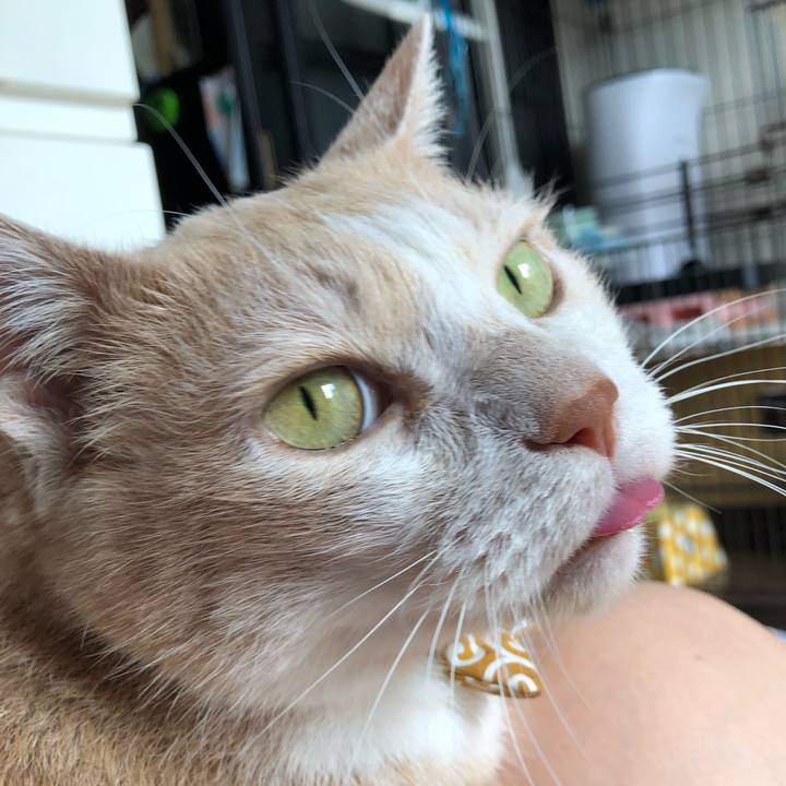 7f20fe58 2c7a 41c5 b11a 5685dd3b680e 1593215610648