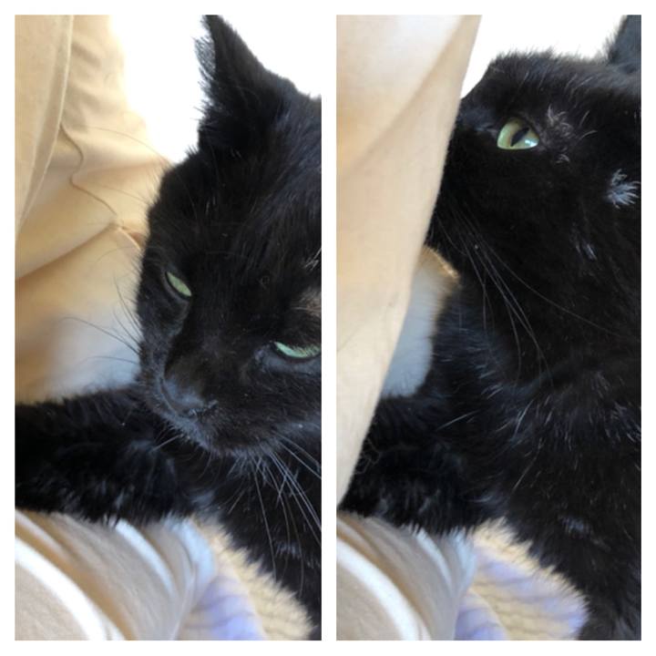 7f216b52 bad3 4f14 845a d511b34cc4d8 1631933561105