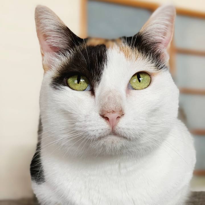 7f21751a 7102 4a77 bae9 bd85ddbefee9 1600134563022