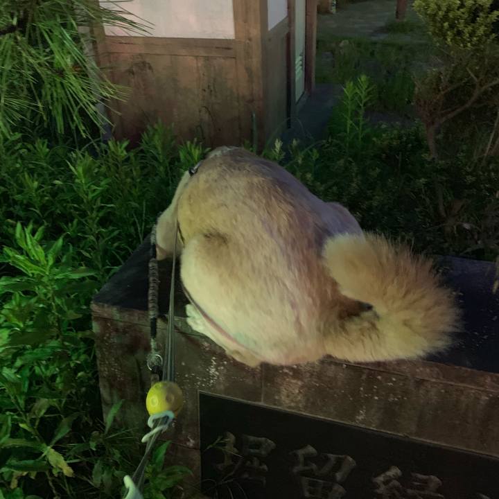 7f21823c 7892 4dcd be7c 8bf23213db73 1557407675266