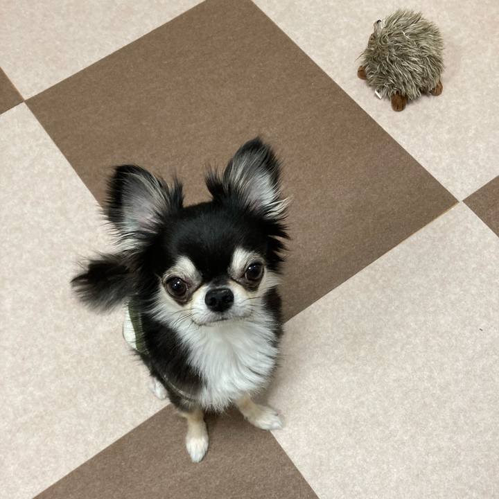 7f21e0d7 7589 44b3 9df2 d8dda0f41894 1649598706409