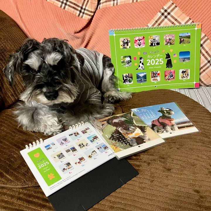 7f21e244 3b51 4ed7 8b18 b701f4684af8 1733232668116