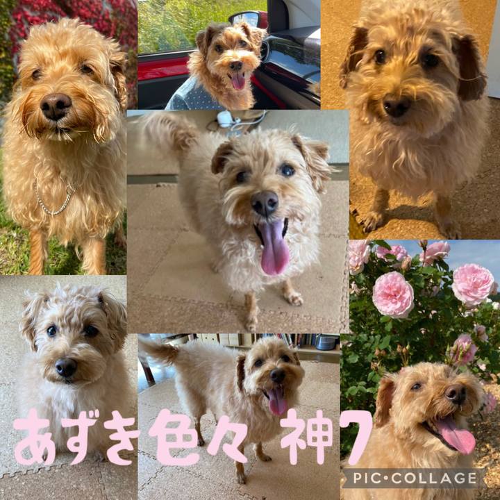 7f22237d 53e9 47fe b1fe b166ca676443 1686455222705