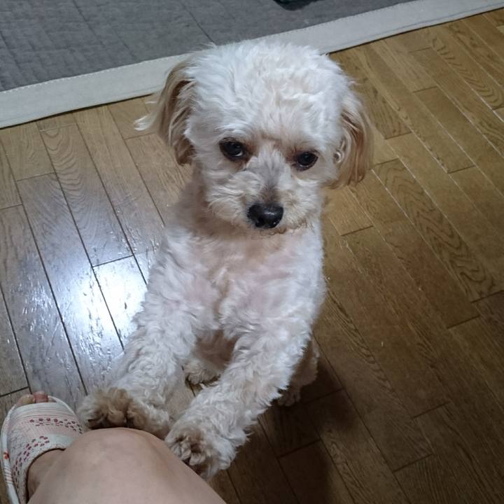 7f225bc7 d908 43bb 8cea 627fe02191ef 1532763613762