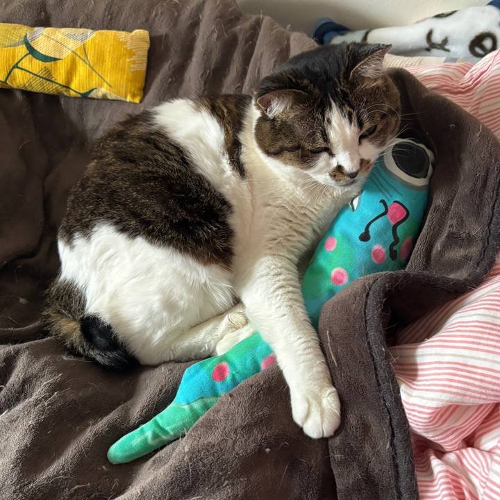 7f228535 e4be 4d5b 9263 0021fb3e5514 1766288383146