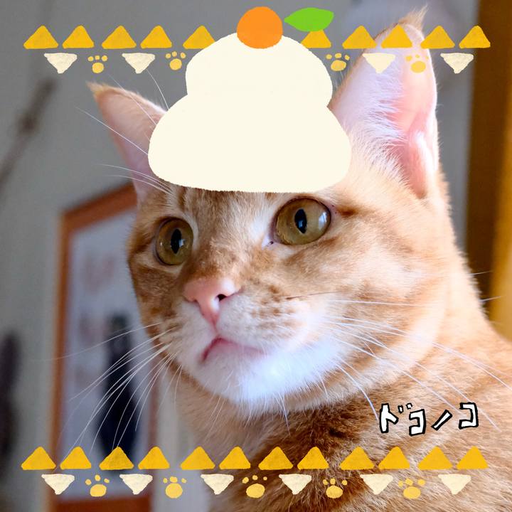 7f228f9e 0849 4dfd a18d f01f6fc34cee 1704423533074