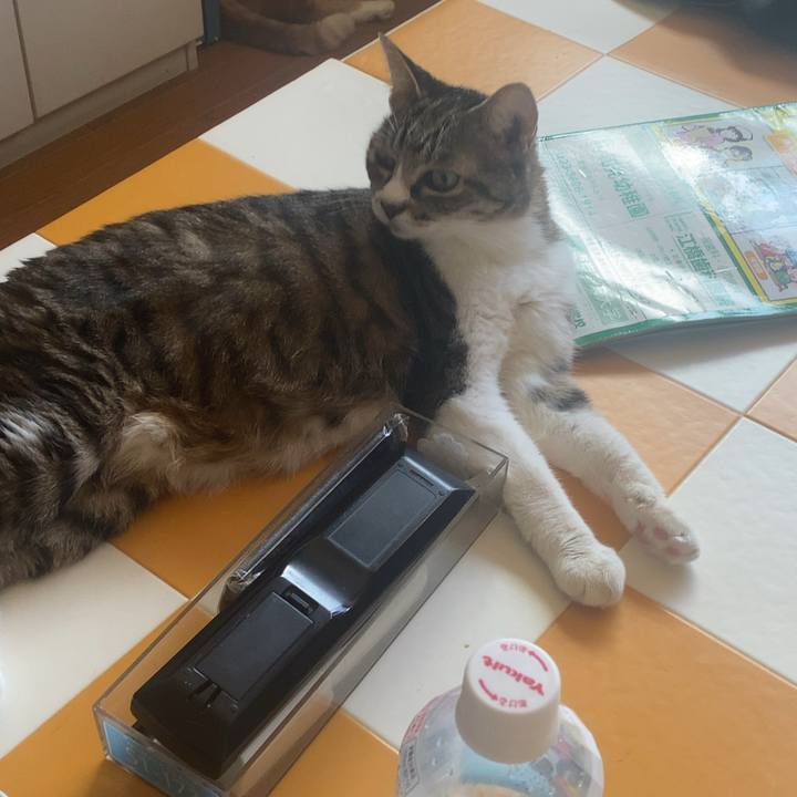 7f22920e 6c70 4a7e 9fca 3af07ade69ed 1726361097175