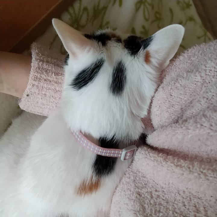 7f22c5fa a9fd 4163 b296 0138d13f7769 1651192502979