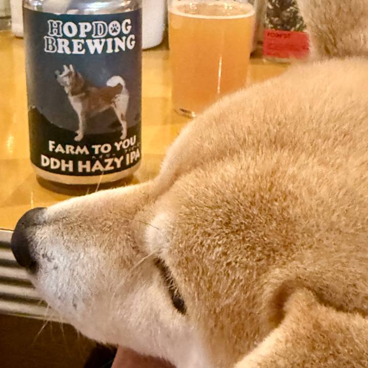 7f232d19 77a1 45aa b2a7 4364c7c2d61b 1773040941845