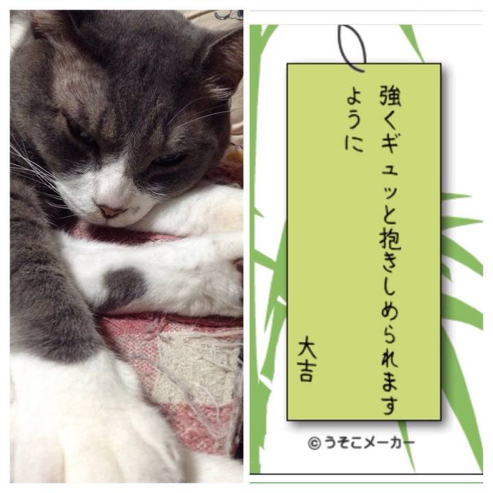 7f233b0e 58dc 4cb8 adeb 03c45a6eca2b 1530972399906