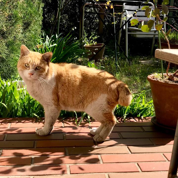 7f237b19 3273 4023 a02d b8610380de88 1522475068846