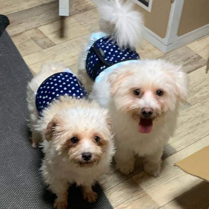 7f23a8f4 ecba 4957 bf37 0497155b9325 1663411870349