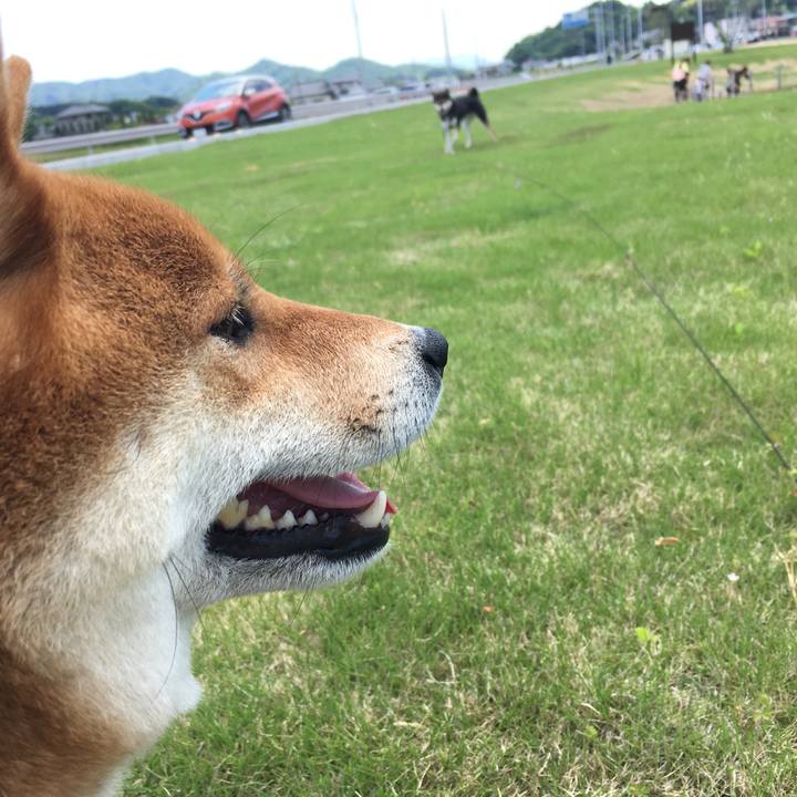 7f23c666 3bdb 4500 a615 dd57e1909883 1525488121124