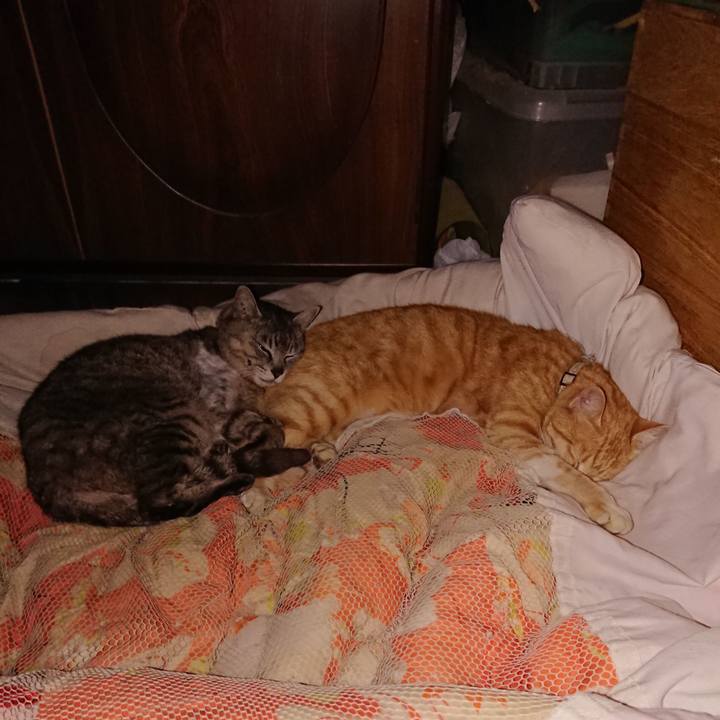 7f23c6cc 477b 4bdd 9d87 d29bd3af5ba7 1591108884081