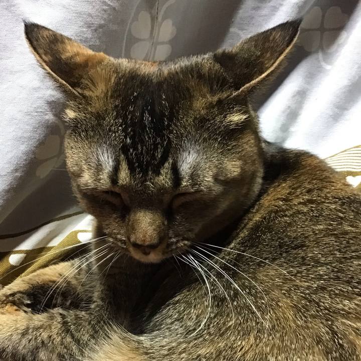 7f2405ec 755c 4f5d 9e4e 97e74cb0f632 1674478127747