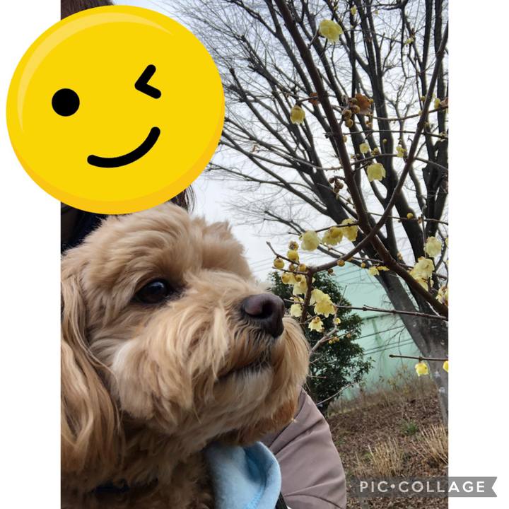 7f2428b7 6308 40c5 8f73 d49e987b65ba 1644142694904