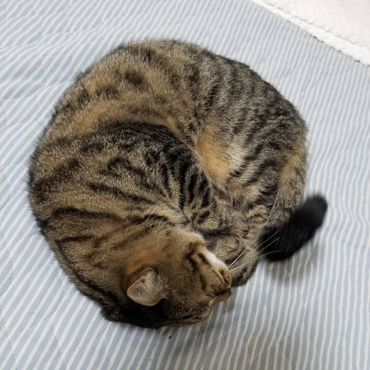 7f2439ba 3a92 49d7 a63f 31ef03b3590a 1602625058735