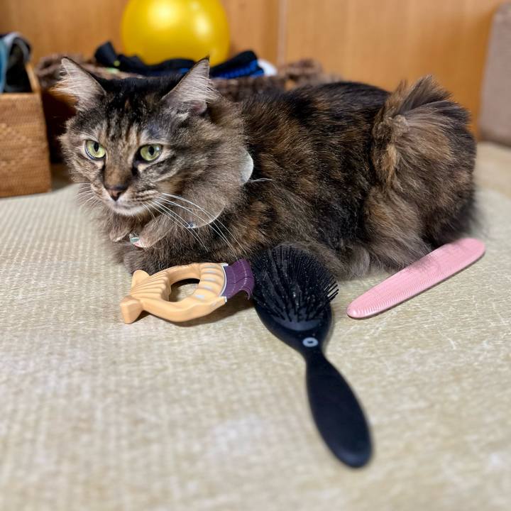 7f245e69 41eb 43b8 bc56 6f3ebcaa21e9 1758614376409