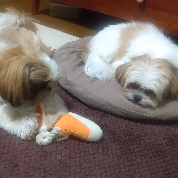 7f2465fa 692b 4450 98d5 96615e0ec019 1574393583153