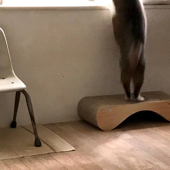 7f24de43 be8f 4a5d 9938 0d8c68b96f4e 1597052093937