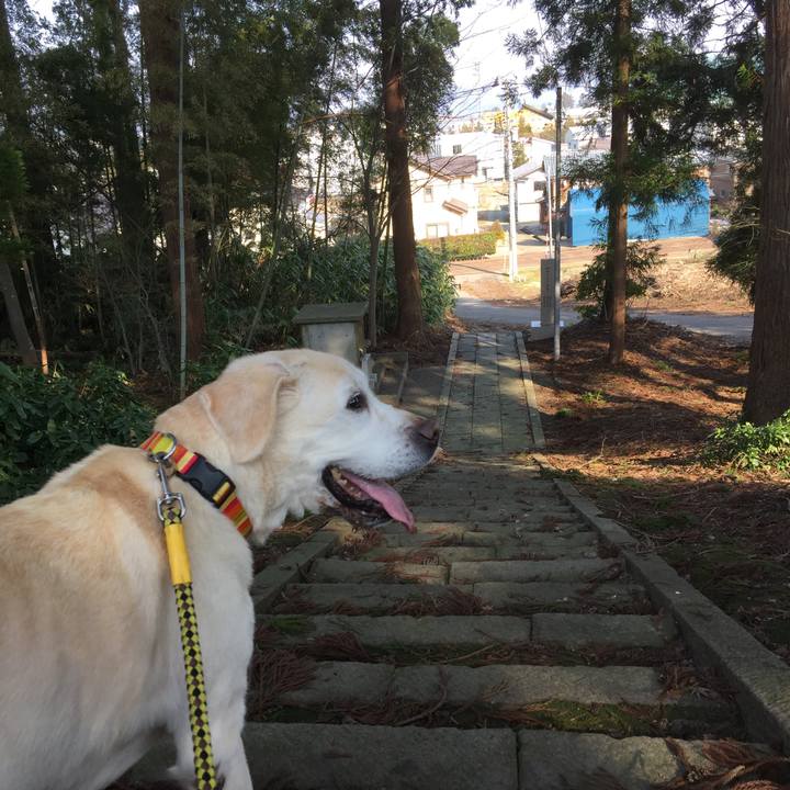 7f24df33 8b2c 44e3 970e c6420313cd1b 1522133281162