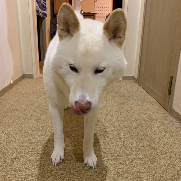 7f2500ab 0a0d 4e66 871c ee3053d45616 1552950961390