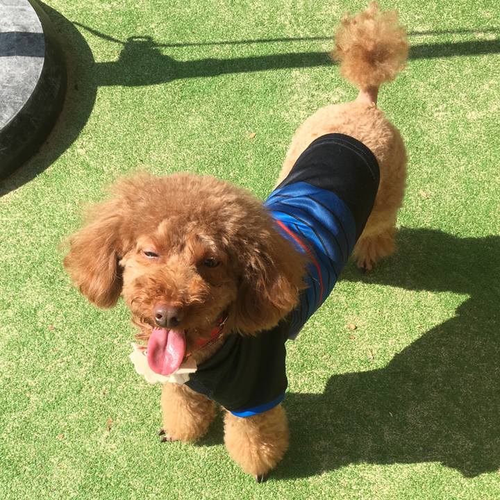 7f251f88 77c4 4784 a344 4143b8d3949f 1586526576471