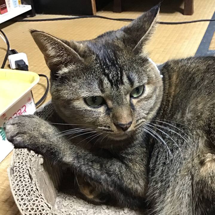 7f252277 c978 4b9a 9de4 232b09c74df7 1696327237161