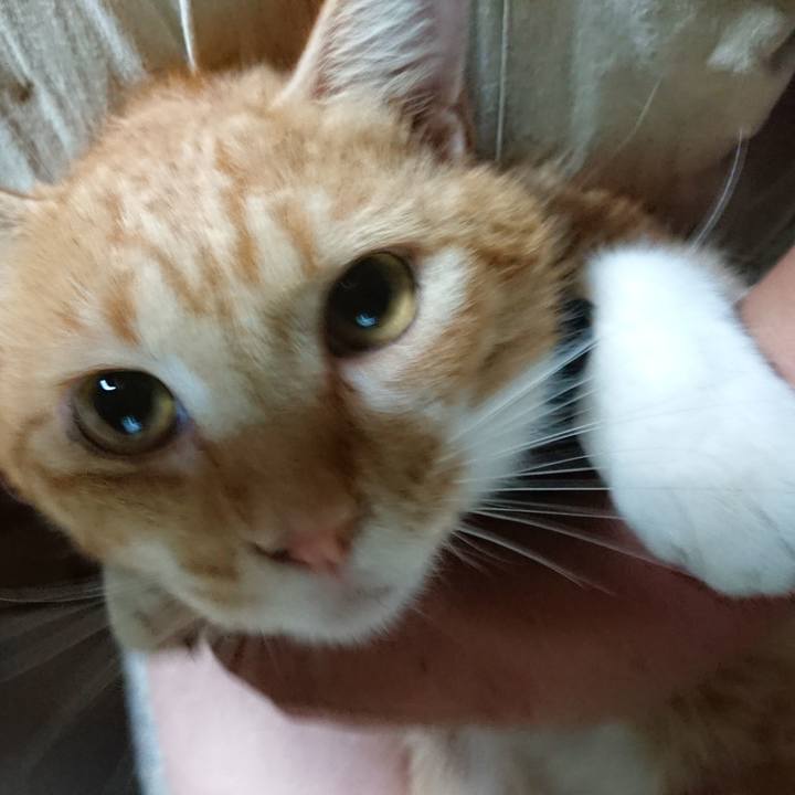 7f255012 d4bf 4b66 ac10 b3eda6afb4b2 1568118715973