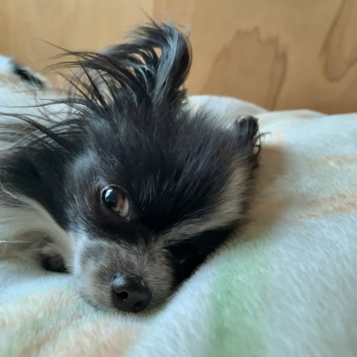 7f2576ad 59a1 4219 9712 7f25243d56fd 1555376750473