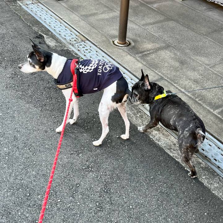 7f2578d0 290e 4ec9 b78f 4633ca0aa3db 1636249425355