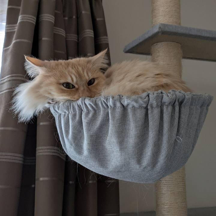 7f25f77f 2426 4938 95e4 9ef2461a3b44 1743912596574