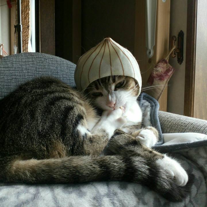 7f262172 bd03 4af6 9c98 b170f4fb9660 1556506956609