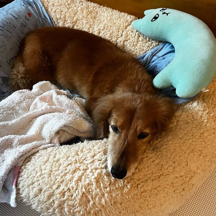 7f2634ed f656 4bca 8aff f56e135cfcf8 1653486995213