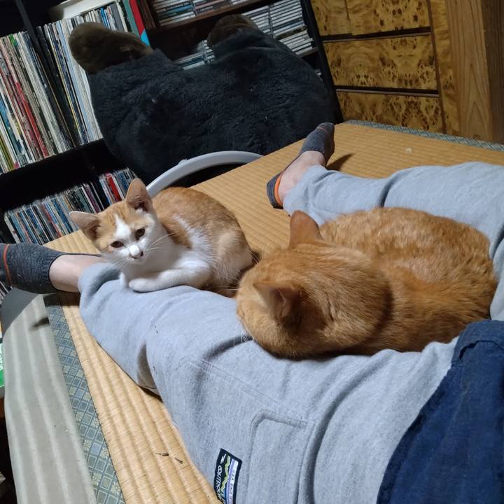 7f263563 6bf9 4709 8cb5 41064c8b4a41 1727945715944