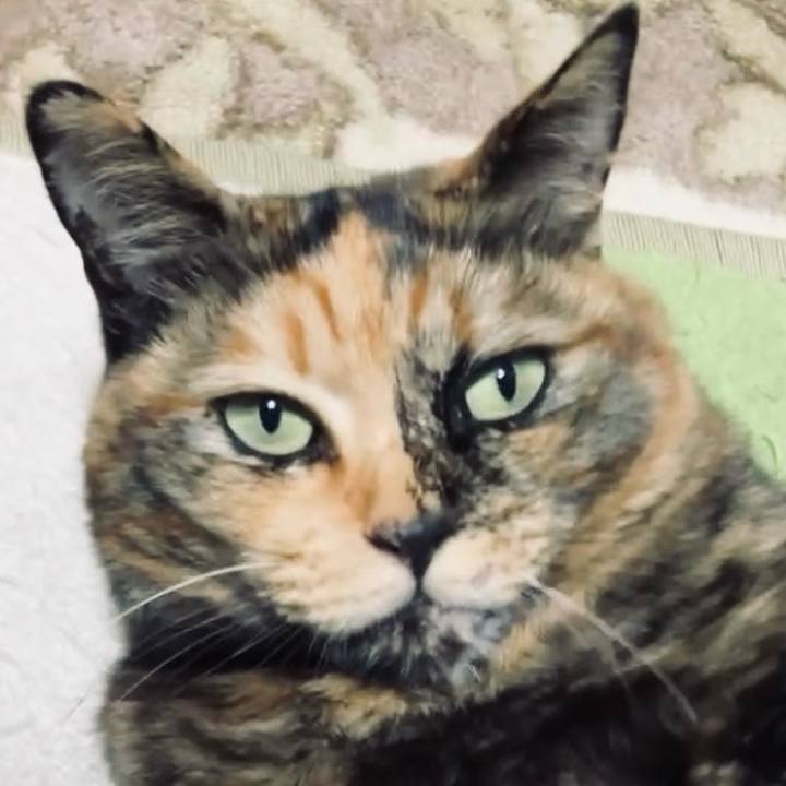 7f2652ac 94ef 4f76 9c1d 42f6c33ad606 1734608398234