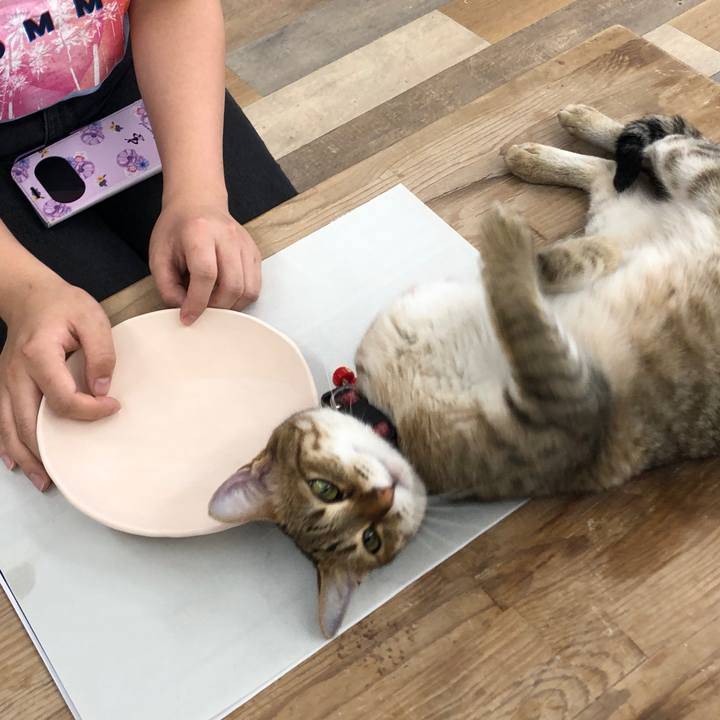 7f266dca 39d0 4cf4 b169 c4ffd4bb4973 1655608170954