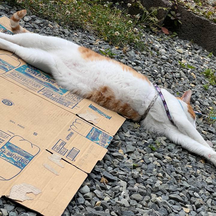 7f26774c 237e 4d8d ad43 56ca21a0f2ab 1656248652965