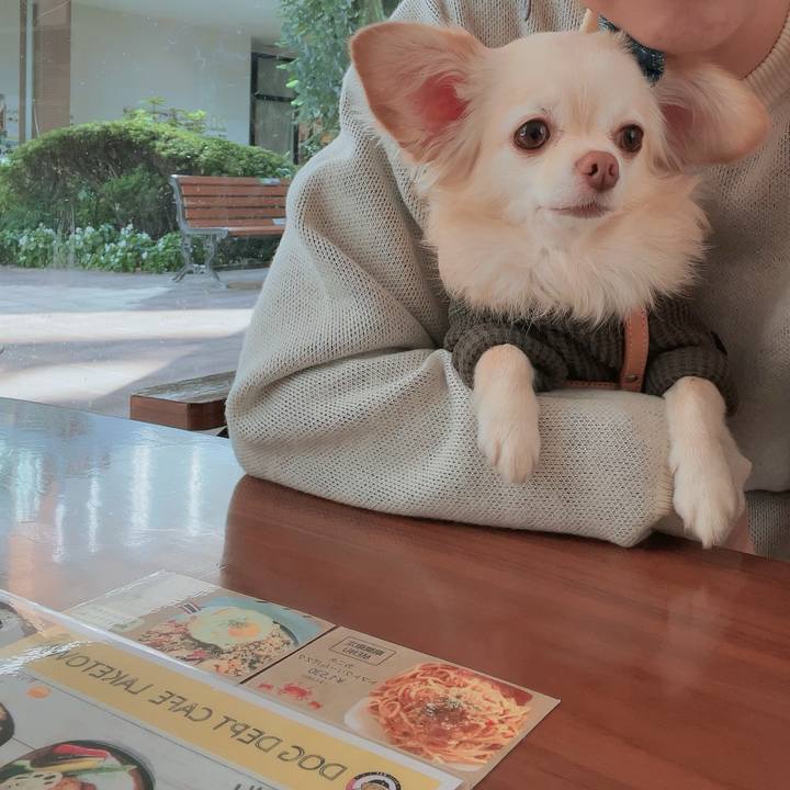 7f26798b 25bf 42a3 96df 9313d8b9591b 1700808517493